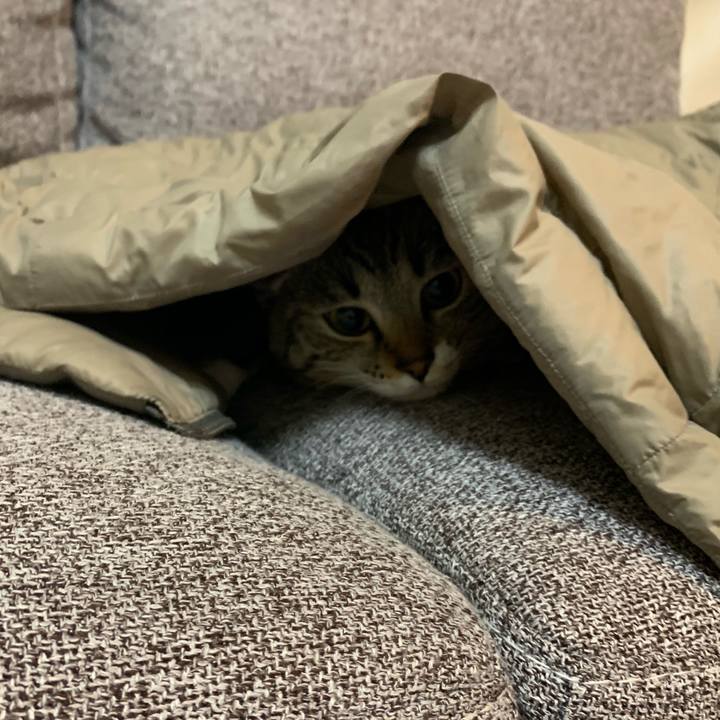 85b02f00 e856 4a65 8778 f0f79db99f01 1547084449613