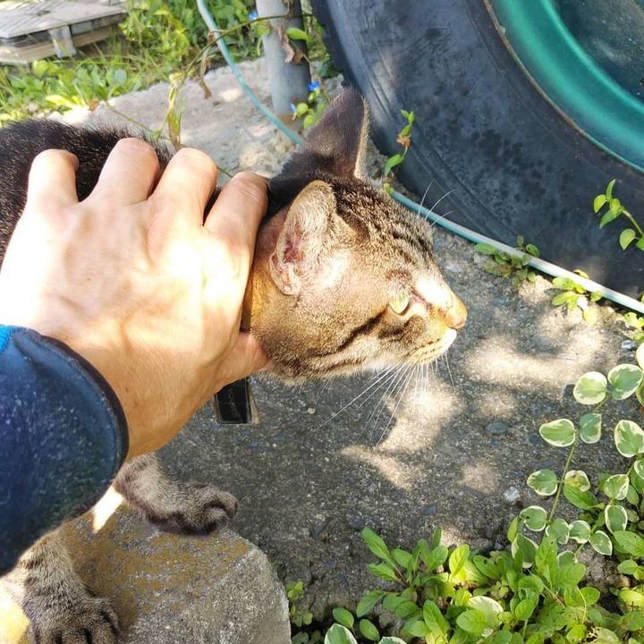 85b04442 af5d 452e a9ab ed714f24ac45 1569562112044