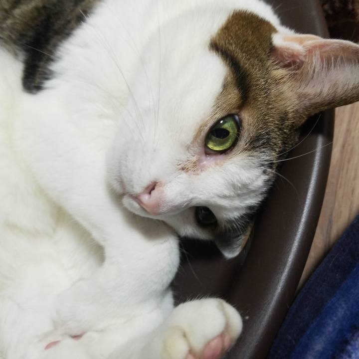 85b051e9 ed9a 49f5 8712 5435f2173310 1580420820884