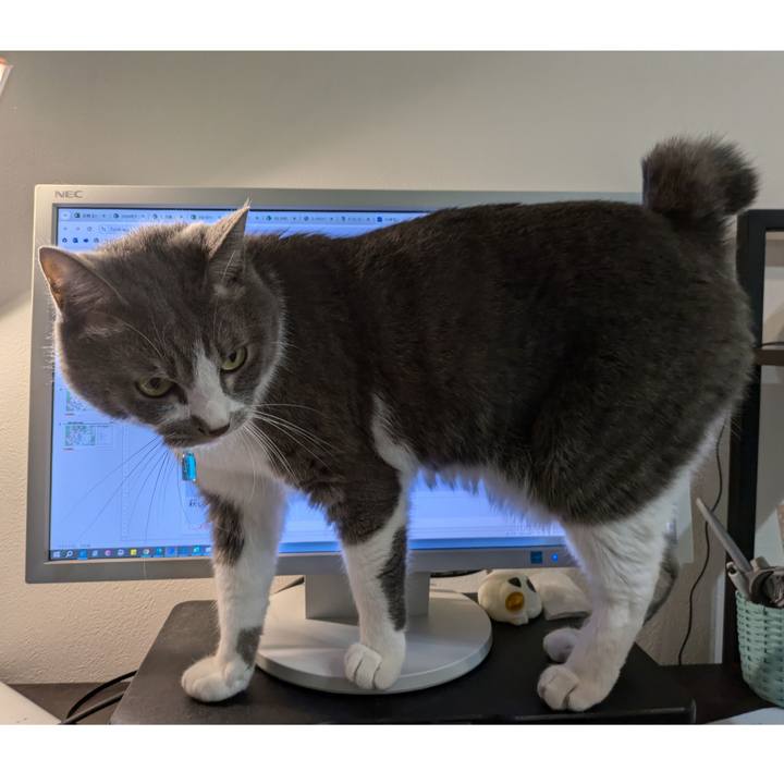 85b0647c 36b6 40ac ad2b 9d2e00ba6e29 1728550769948