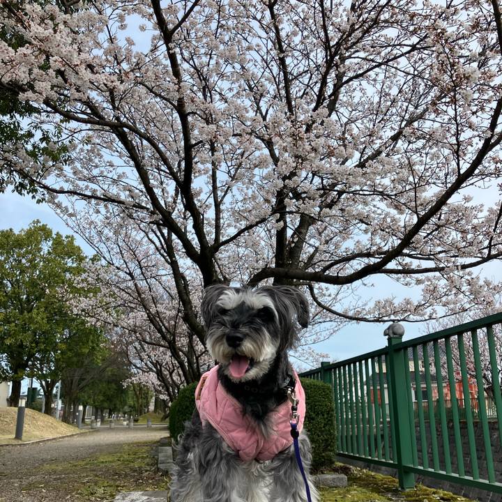 85b0710e 82bf 4274 8d10 6ceb59db1413 1713011584405