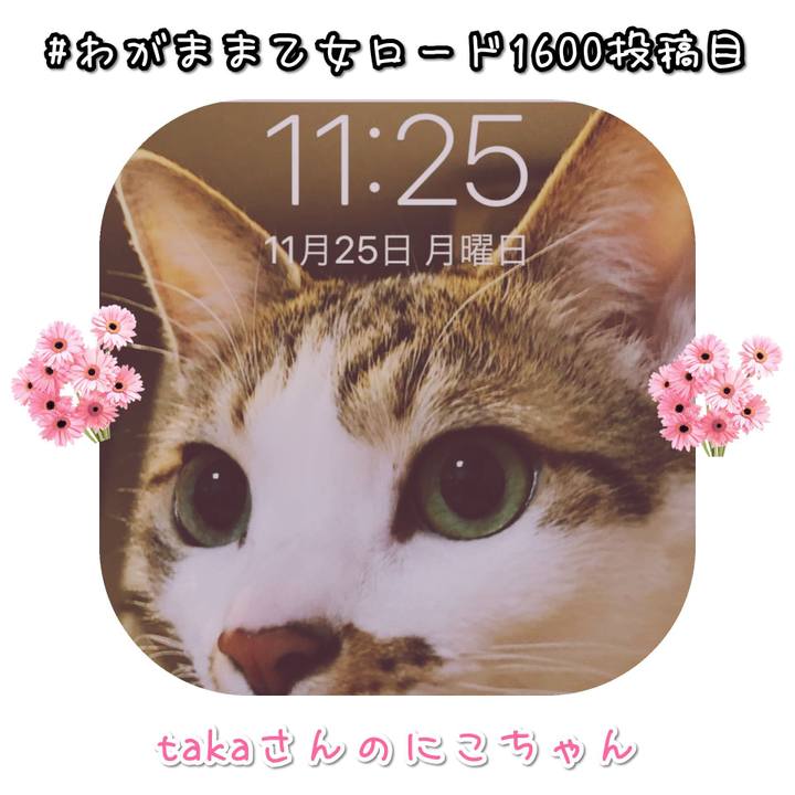 85b07c65 1d09 4d77 984a 9d4a3bf7f014 1574829147352