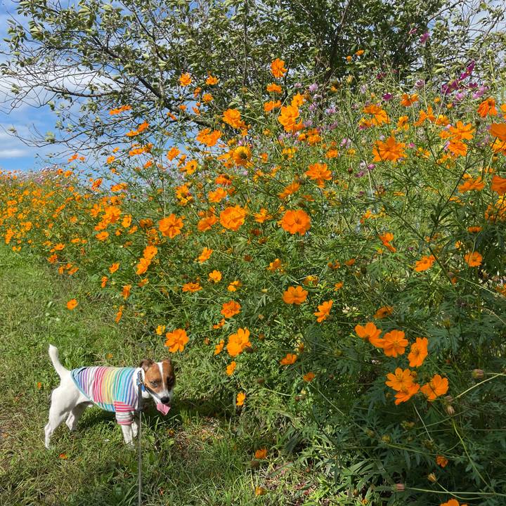 85b0acc0 0a1e 4523 9d3e f36c06bd2692 1632894417851