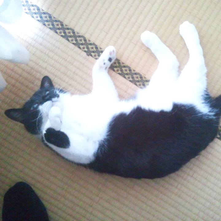 85b0fbeb 676d 46fa 901c 61d0888356f4 1565254309910