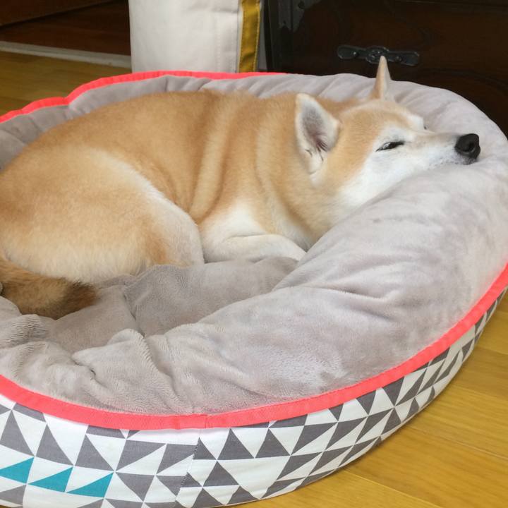 85b10e7b 7dd0 4d95 992d 0e770f6dfe73 1582556607932