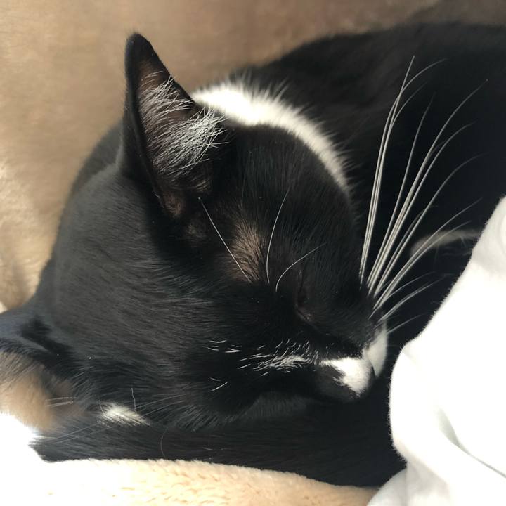 85b16702 ab72 4dc2 a618 282e4c90e477 1546403613123