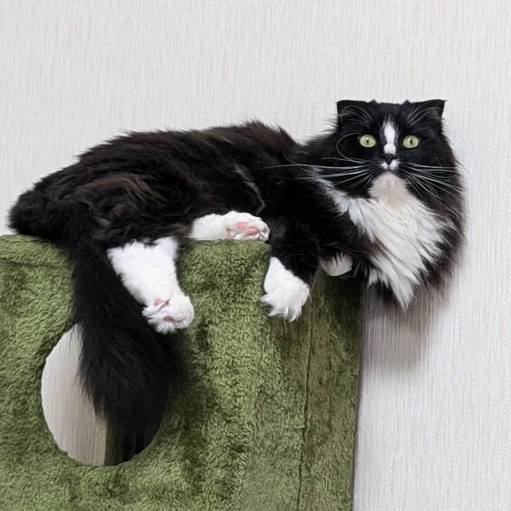 85b1812f 19fc 433f 8287 27fc19d82129 1719054695209