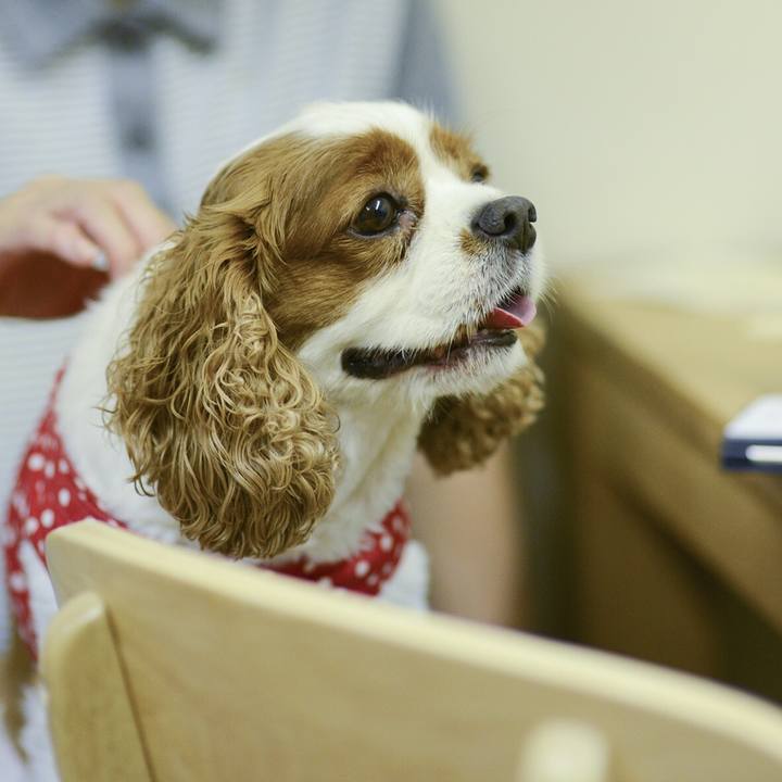 85b1af9b d86d 4427 bc93 03190830c28a 1535378824994