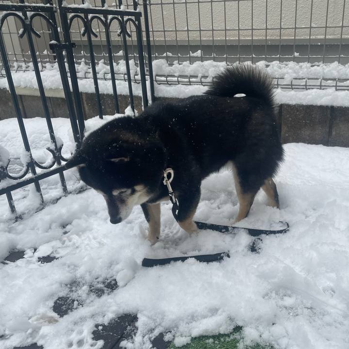 85b1c782 8177 4ffe 83a7 b681c18763b9 1770515909261