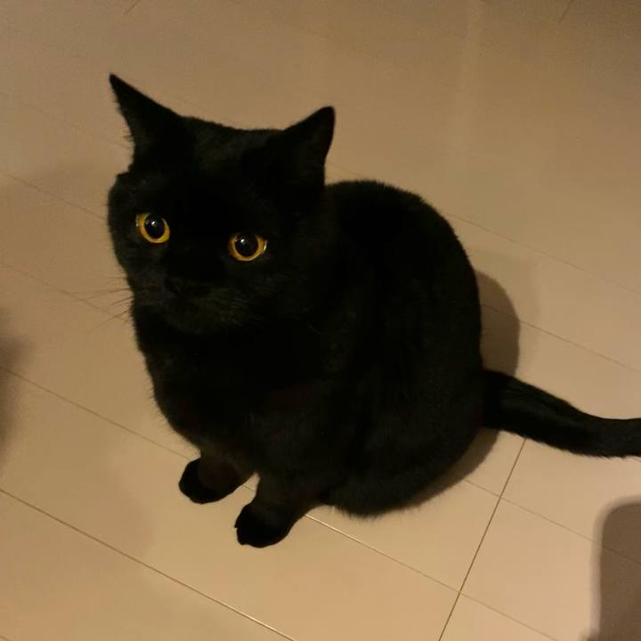 85b1fc32 46aa 414e a96b 12e24db1cda7 1610009352710