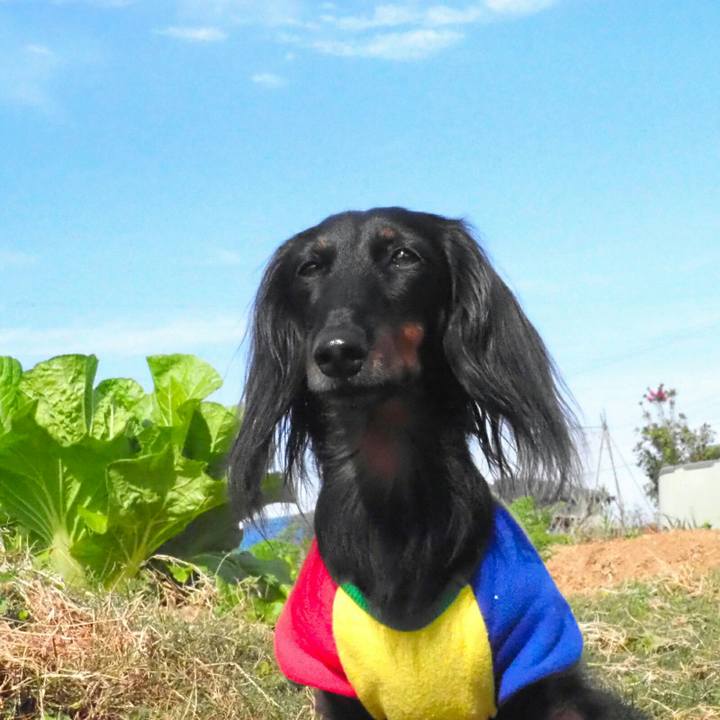 85b240a9 98c8 4bac a806 f358da4e9542 1543023988791