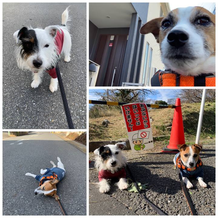 85b28e05 ffe9 4ea0 bab1 9187a4a86fa2 1574212464001