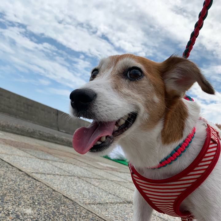 85b2b8a9 b46a 46c2 9fc0 f54880542711 1567340175611