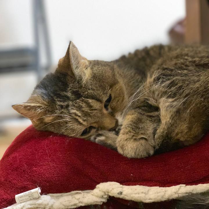 85b2b9de 9eef 4d9e 93e8 b7b06c8e40a5 1609675155385