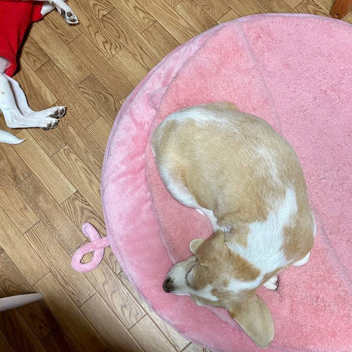 85b2e56e 95db 41db 96cb bf1d2536a1c4 1580384383083