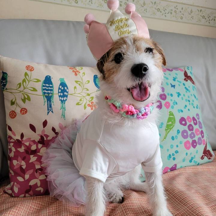 85b2e723 778b 4eb9 9713 010b01870942 1761704212819