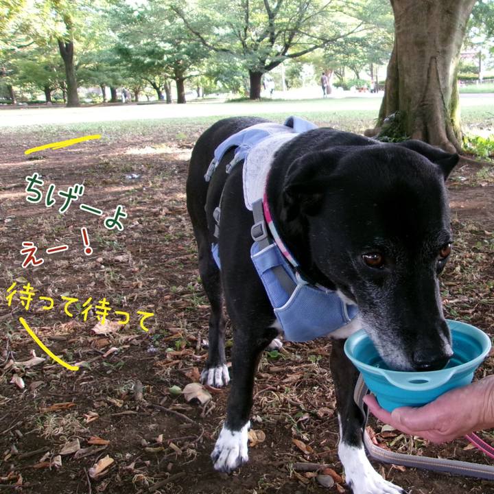 85b325a1 21f9 4ae7 8e30 5fd4d6f6898b 1754265273357