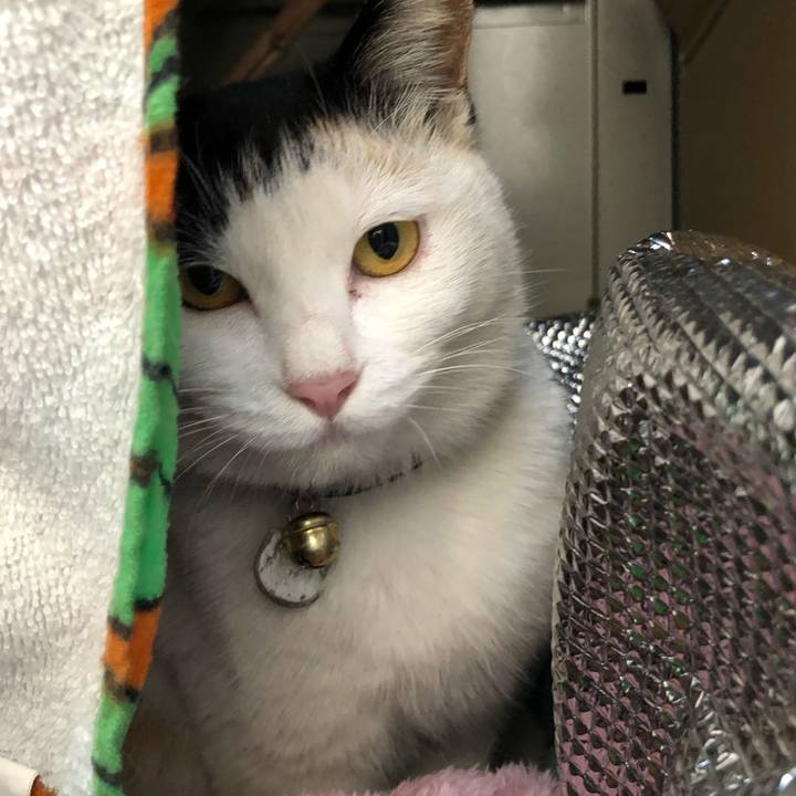 85b342a6 7f4f 4699 ba90 7d471e9d5802 1614207468063