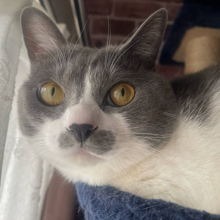 85b35ddd 6cdf 48af 8a54 ca856ba5202a 1672961442388