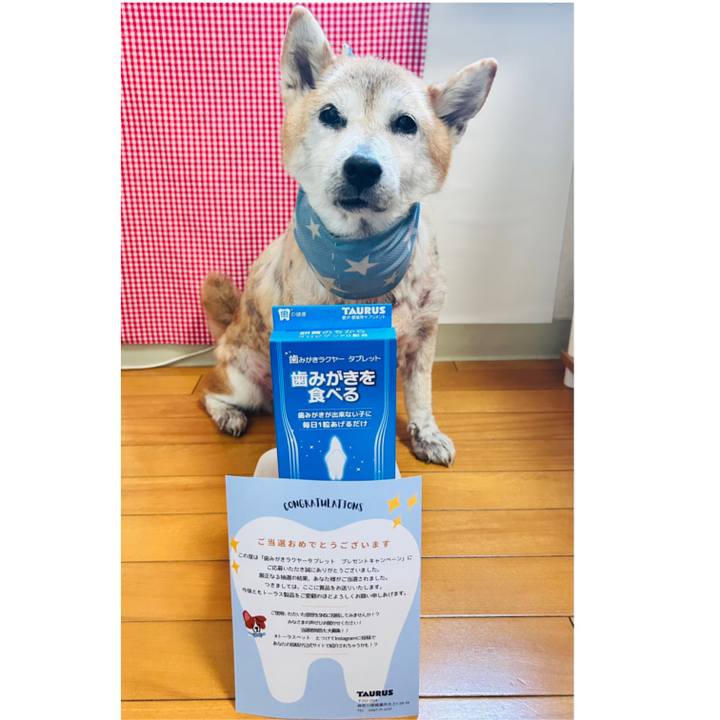 85b36d49 4574 44c8 bd80 352452150a21 1763618096867