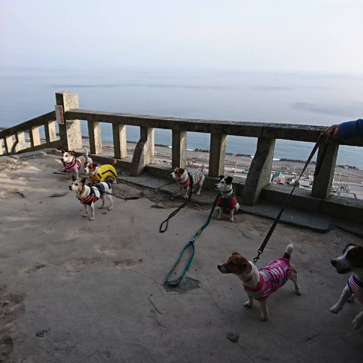 85b37f57 4694 4a01 a5b7 c39ddfc4c1d9 1519540557532