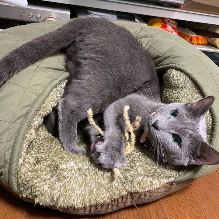 85b391a1 31a9 43cc aa2f 35da1eff5c97 1571559723192