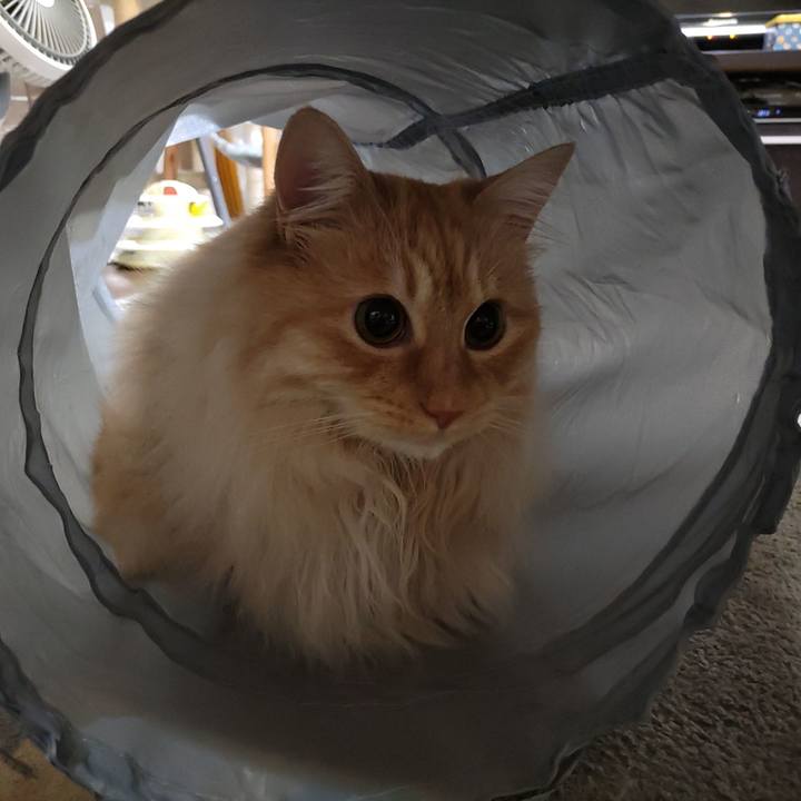 85b39237 6e3e 418d 8a41 891aea37d2d5 1713878630709