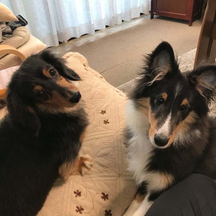 85b3af42 6b53 4981 9274 02412a57d59a 1515882634611