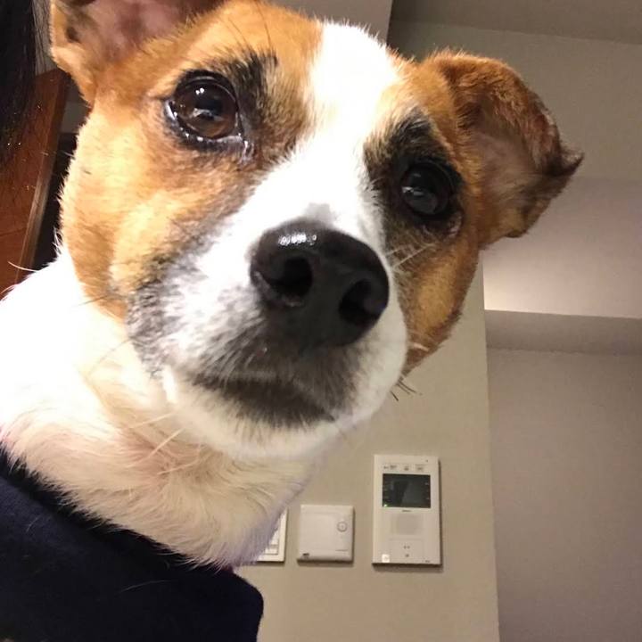 85b3c848 f6c8 4311 8041 de8acbefde27 1679702961413