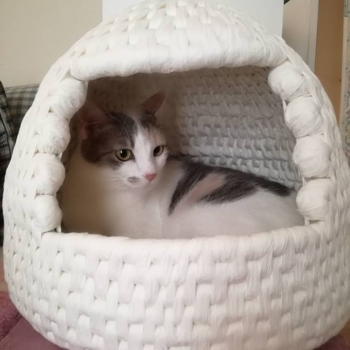 85b3dce0 9073 4b66 9171 6c1616ba0643 1525080829723