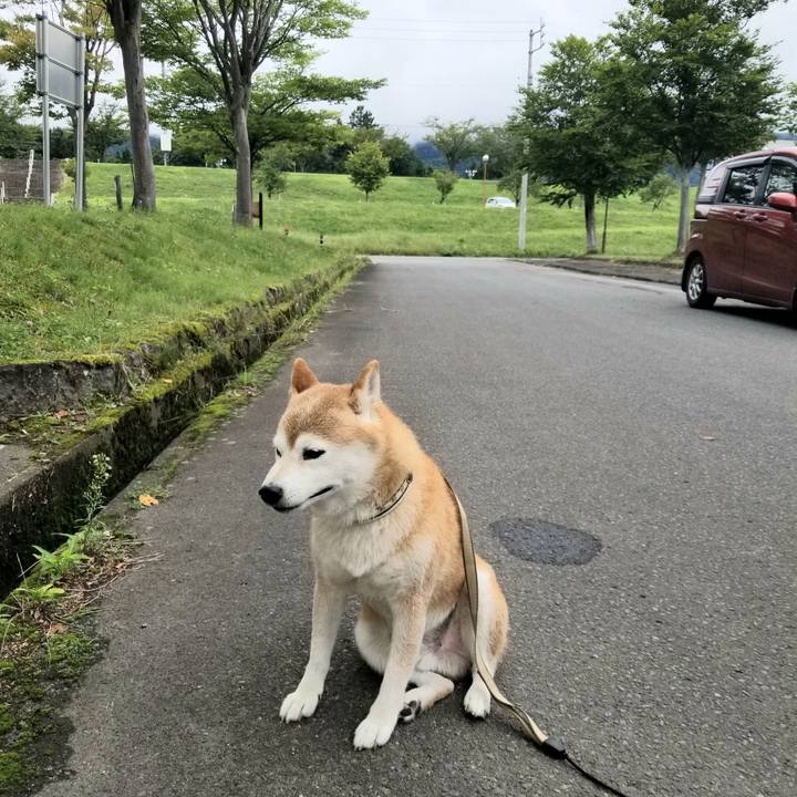 85b47663 9b6f 4c00 99a3 bccf6b7faf0b 1662089585192