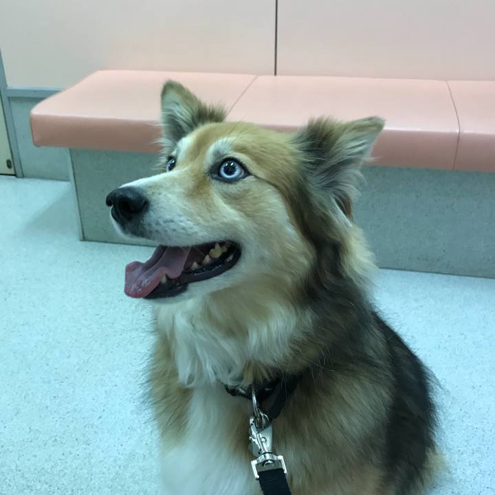 85b488e2 d5dc 4ffe becf f7b62f22d6cd 1521623253974