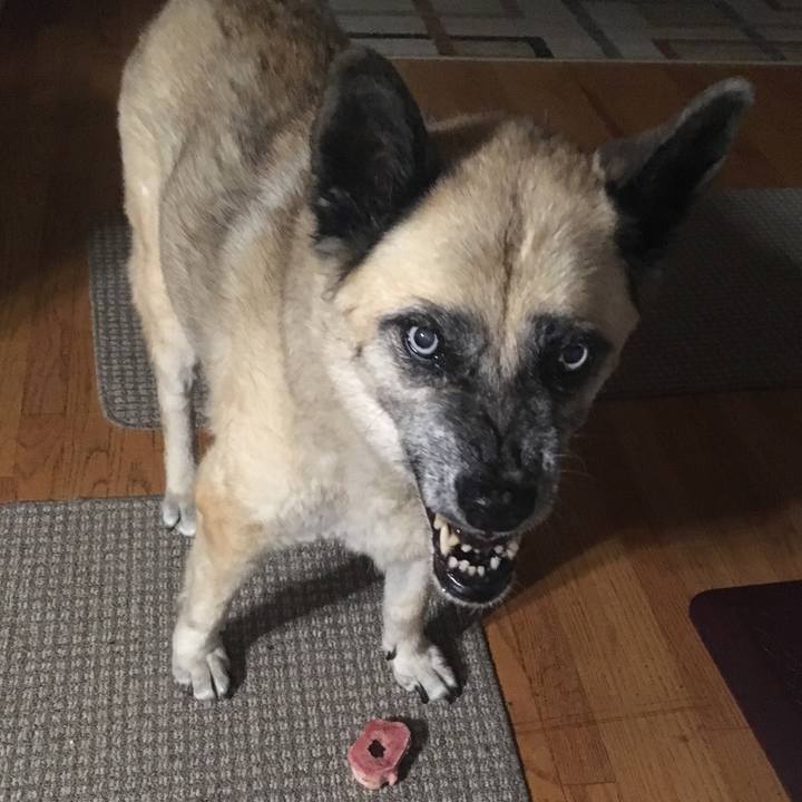 85b4a8c3 51c5 40ed 83dd cc307a38f659 1559452313366