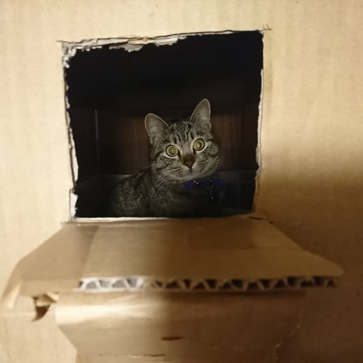 85b4c8f4 8a63 489a 89e0 8a99d6de269c 1549899738095