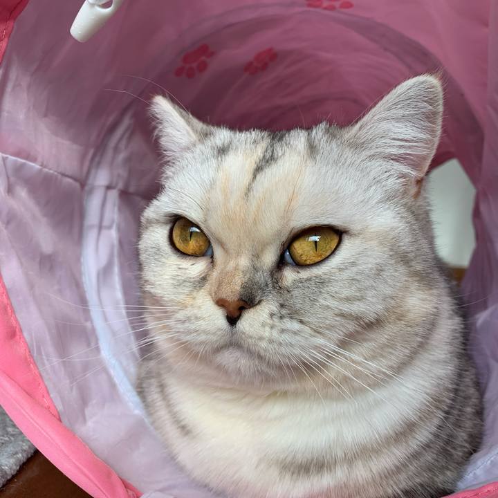 85b4eb89 4aa6 40f8 8ed4 19e8c9fbb2c5 1707609348063