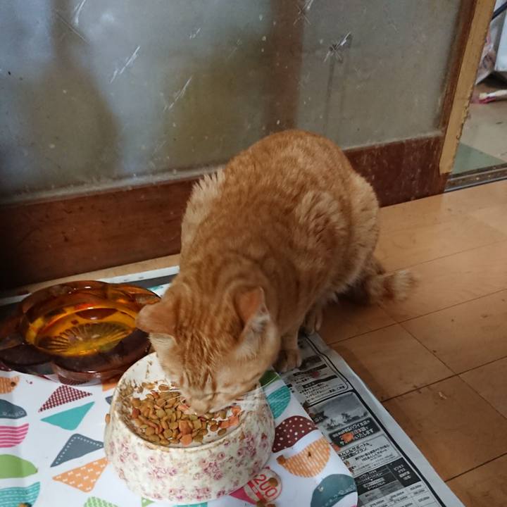 85b4f63b 56ce 46c1 94bc 8d1dc19040de 1652177480829