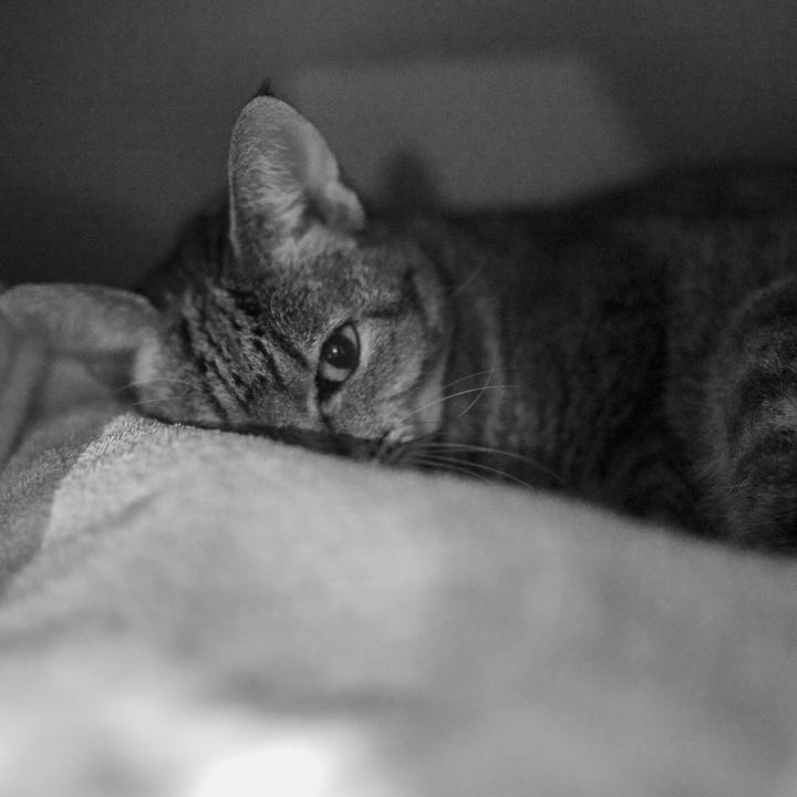 85b51a2d 886c 4478 bf4d be98df0d5388 1544951556814