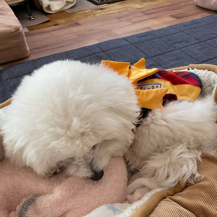 85b538e6 4b91 4477 9b74 0a8e842cabbd 1671578318515