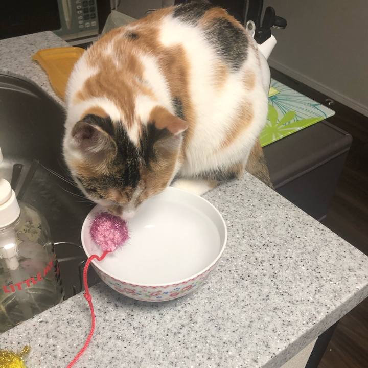 85b57cd6 2207 4ae3 b98f a7e7ff2412be 1570145950677