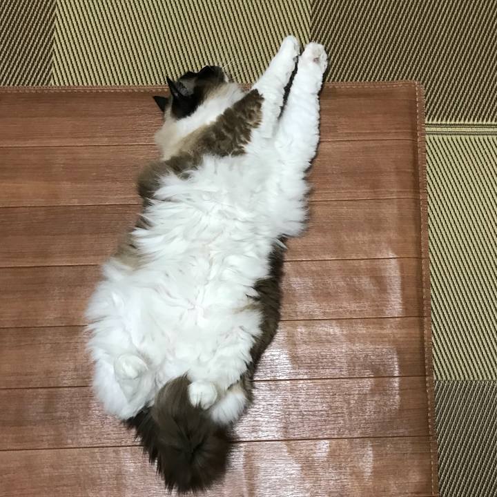 85b5ceac d392 4db7 9d77 2d4d92ff6563 1518783917728