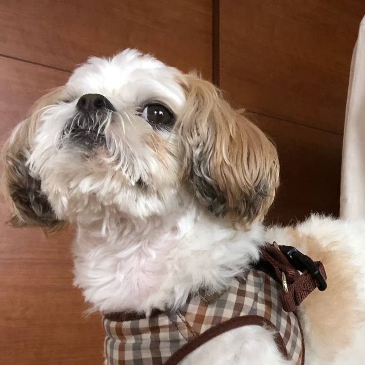 85b5d6fe 1f1a 4a8a 9022 d1848aca57a3 1540417277895