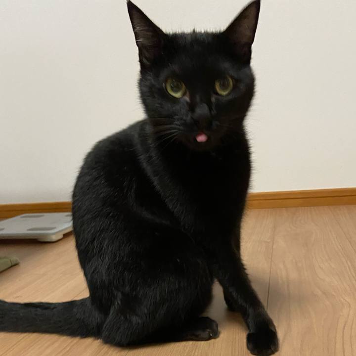 85b63169 1318 4b85 8da7 71906d45bfce 1633087648964