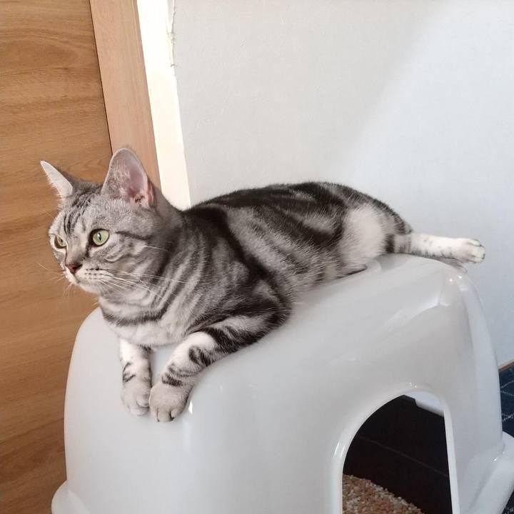 85b63d5a 4aa4 414b 8d27 46fb6307927f 1694521396645