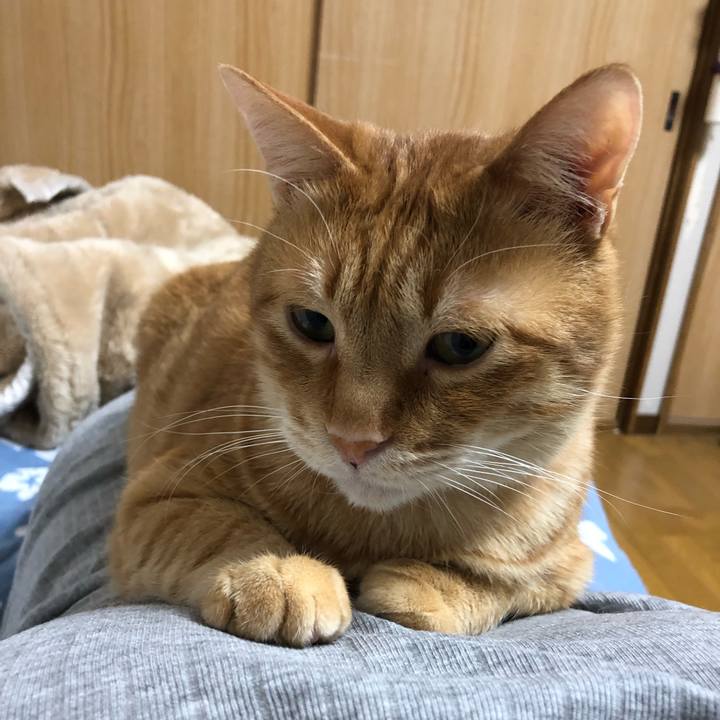 85b66a1f 76c4 4cf7 a262 60c5da8a05a9 1582465670063