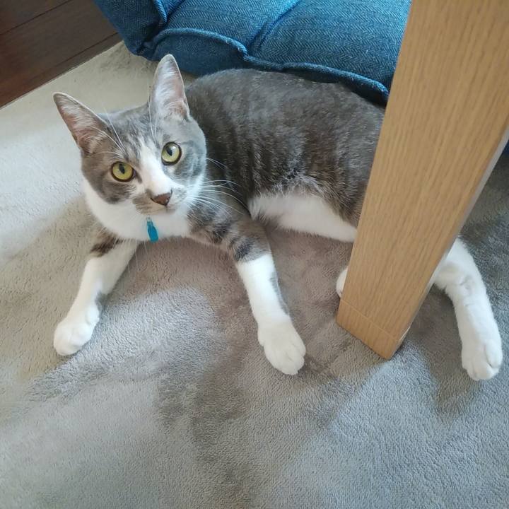 85b67440 7387 4900 a938 d548350b3705 1591745920489