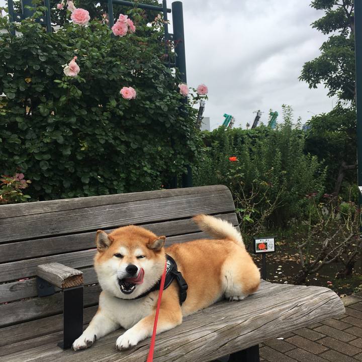 85b69408 7970 44f0 aee9 1ef1004911e2 1595996951327