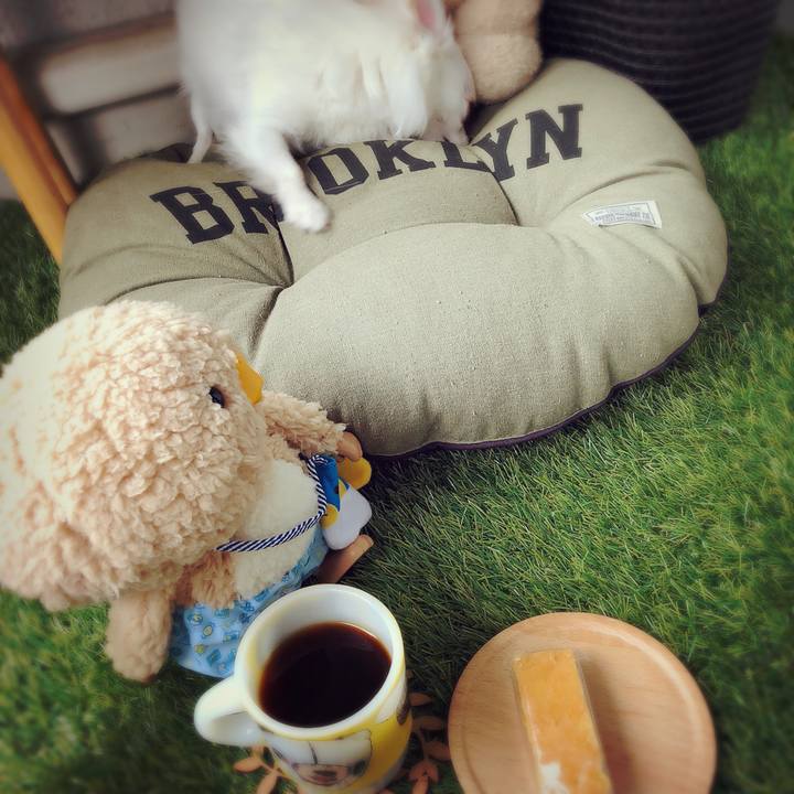 85b7003d d631 4ba9 89da 14db7b287820 1528178852456