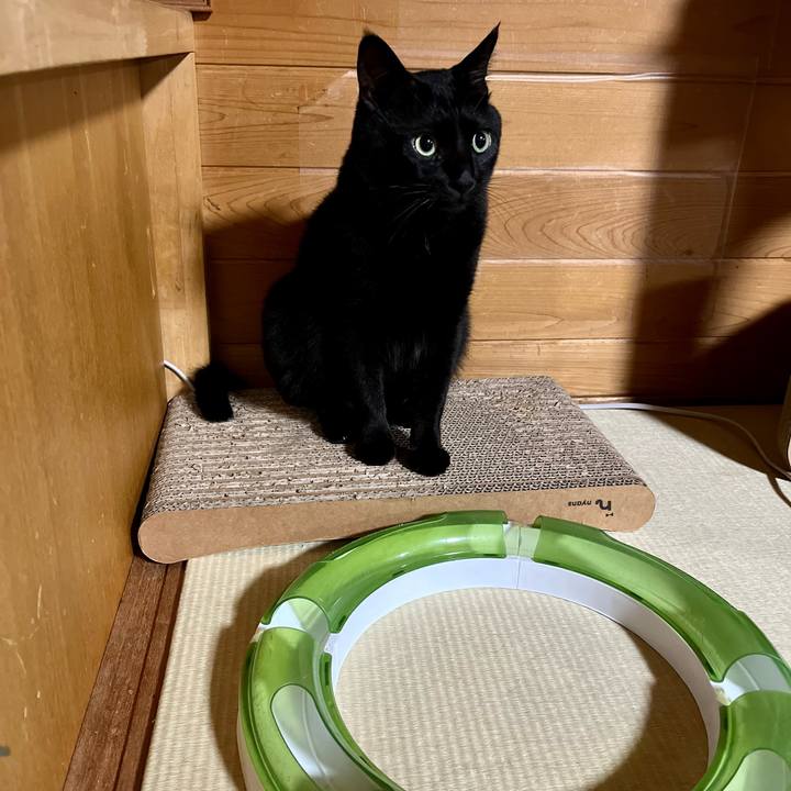 85b70ec2 e5d8 453b 82b3 ab0681391411 1691324293155