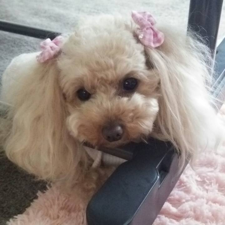 85b733b2 803d 470e bcd2 921b3ef6e6f9 1520498486776