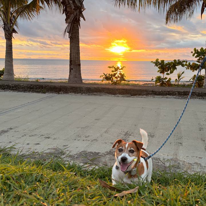 85b74357 5b36 43fd a2d8 bd7bf6943f5c 1764661690462